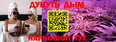 МДПВ Дубна