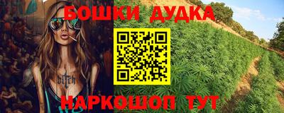 МДПВ Дубна