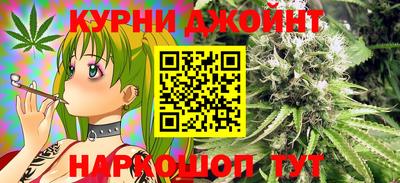 МДПВ Дубна