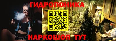 МДПВ Дубна