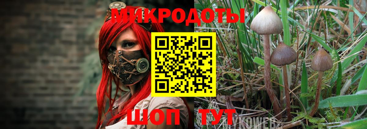 Галлюциногенные грибы MAGIC MUSHROOMS  купить наркотик  Кушва  Вход с VPN 