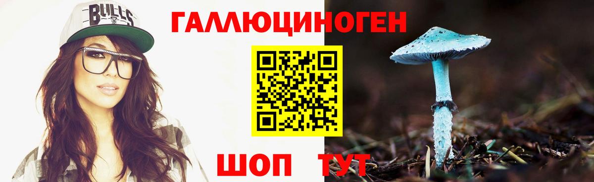 Галлюциногенные грибы Psilocybe Кушва